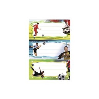 HERMA Buchetiketten -Fußball- 76 x 35 mm