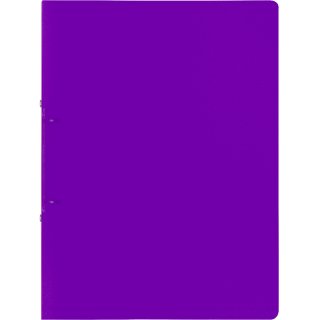 Brunnen Ringbuch Fact!A4 2,5cm Rückenbreite, PP, violett transparent