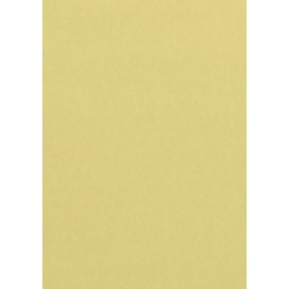 Farbiges Papier, DIN A4, 80g/qm, 1 Packung = 100 Blatt, chamois