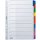 Kartonregister DIN A4, 10tlg., blanko, Rasterdruck, Karton, farbig, Universallochung