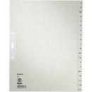 Register A-Z Papier A4 30cm 20Bl gr 100g/qm Tauenpapier RC