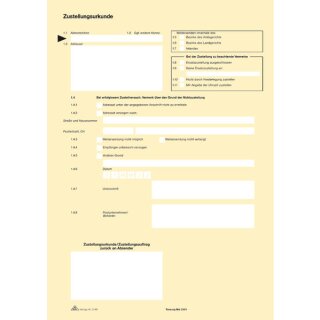 Zustellungsurkunde, 2 Seiten, DIN A4, 80 g/qm, dieser amtliche Vordruck dient der Erstellung eines Zustellnachweises bei der Zustellung nach § 166 ZPO, auch für Tintenstrahl- und Laserdrucker geeignet, VE = 1 Packung = 100 Stück