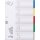 Kunststoffregister DIN A4, 5tlg., blanko, Tabe farbig, PP, farbig, Universallochung