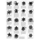 Bascetta-Stern Set, 15x15cm, 32Blatt, Designpapier, weiß/kupfer Weihnachtsornamente