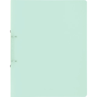 Brunnen Ringbuch Fact!A4 1,6cm Rückenbreite, PP, 2-Ring, grün pastell, transparent