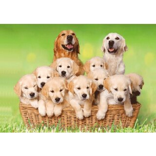 Postkarte, Grußkarte 3D - Golden Retriver