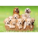 Postkarte, Grußkarte 3D - Golden Retriver