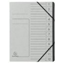 Ordnungsmappe Colorspan, für DIN A4, 12 Fächer, mit Gummizug, innen schwarz, Deckel mit Liniendruck, grau