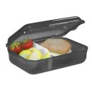 Step by Step Lunchbox Dino Torex Schwarz