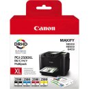 Canon 2500 / Canon 2500XL Tintenpatronen in schwarz,...