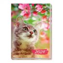 Taschenkalender 2024 A7 Katze