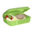 Step by Step Lunchbox  Dino Targo, Grün