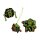 Scout Schulranzen-Set NEO Cubes
