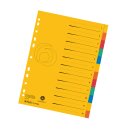 Herlitz Kartonregister mit Indexblatt A4 XXL 5-farbig
