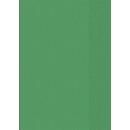 Brunnen Hefthülle A4 transparent, Folie, Farbe.:50 = grün