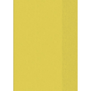Brunnen Hefthülle A5 transparent, Folie, Farbe.:10 = gelb