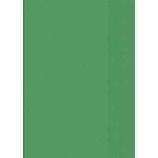 Brunnen Hefthülle A5 transparent, Folie, Farbe.:50 = grün