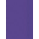 Brunnen Hefthülle A4 transparent, Folie, Farbe.:60 = violett